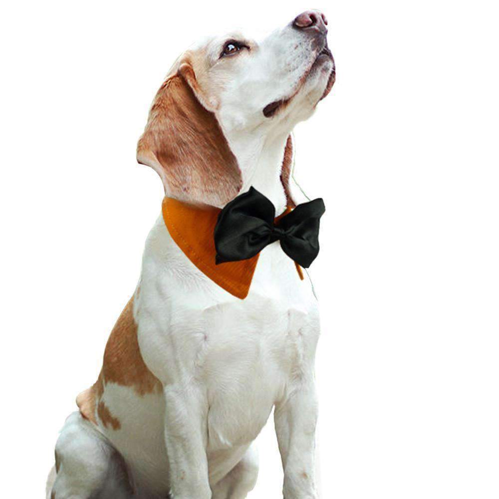 Woof Toys™ Pet Bowtie Collar