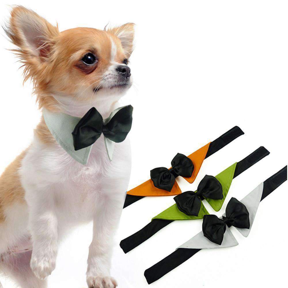 Woof Toys™ Pet Bowtie Collar