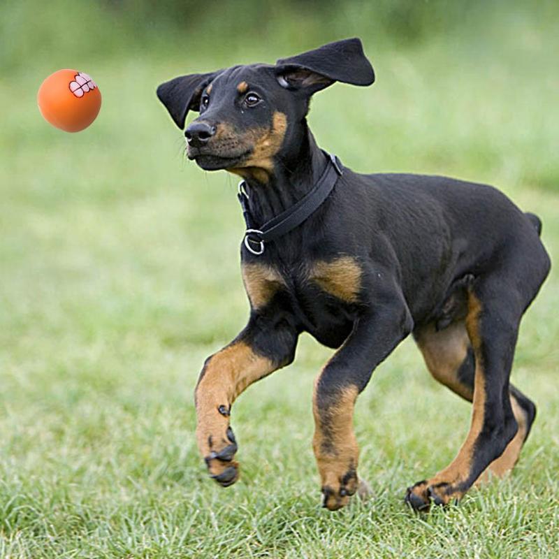 Chewy Dog Toy Ball With Teeth