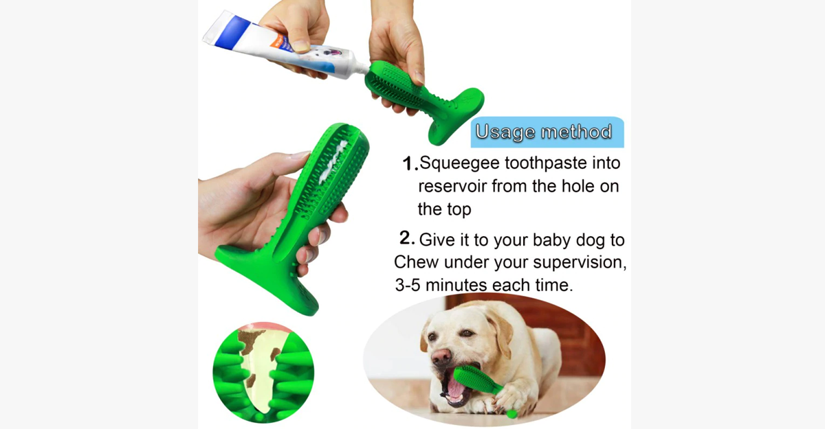 Dog Tooth Brush