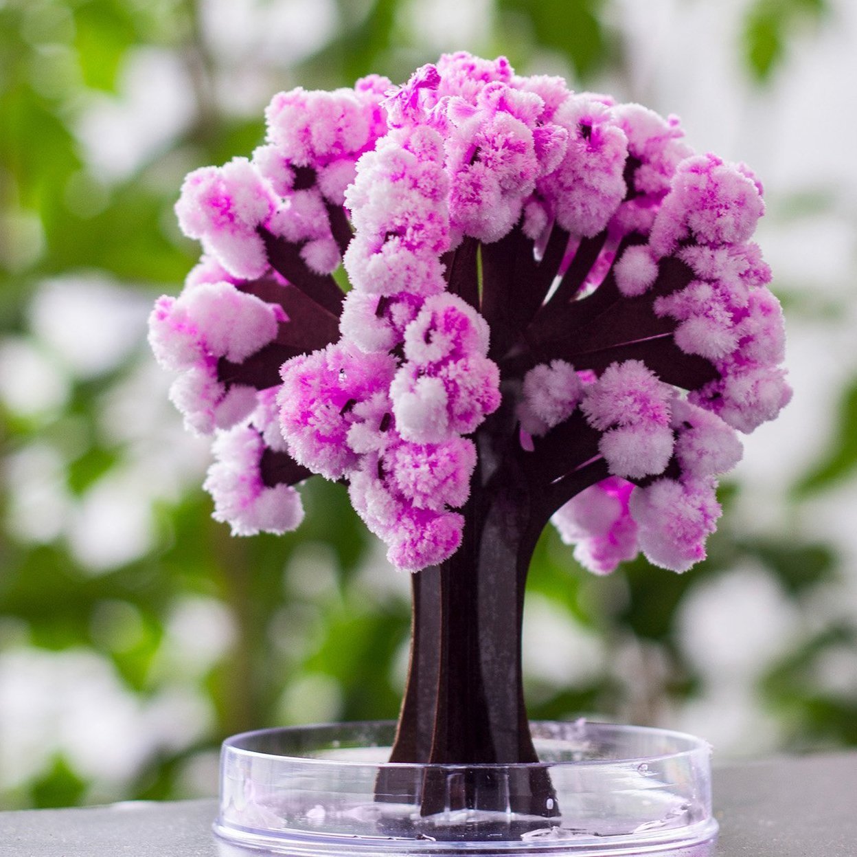 Magic Cherry Blossom Tree – Soho Emporium