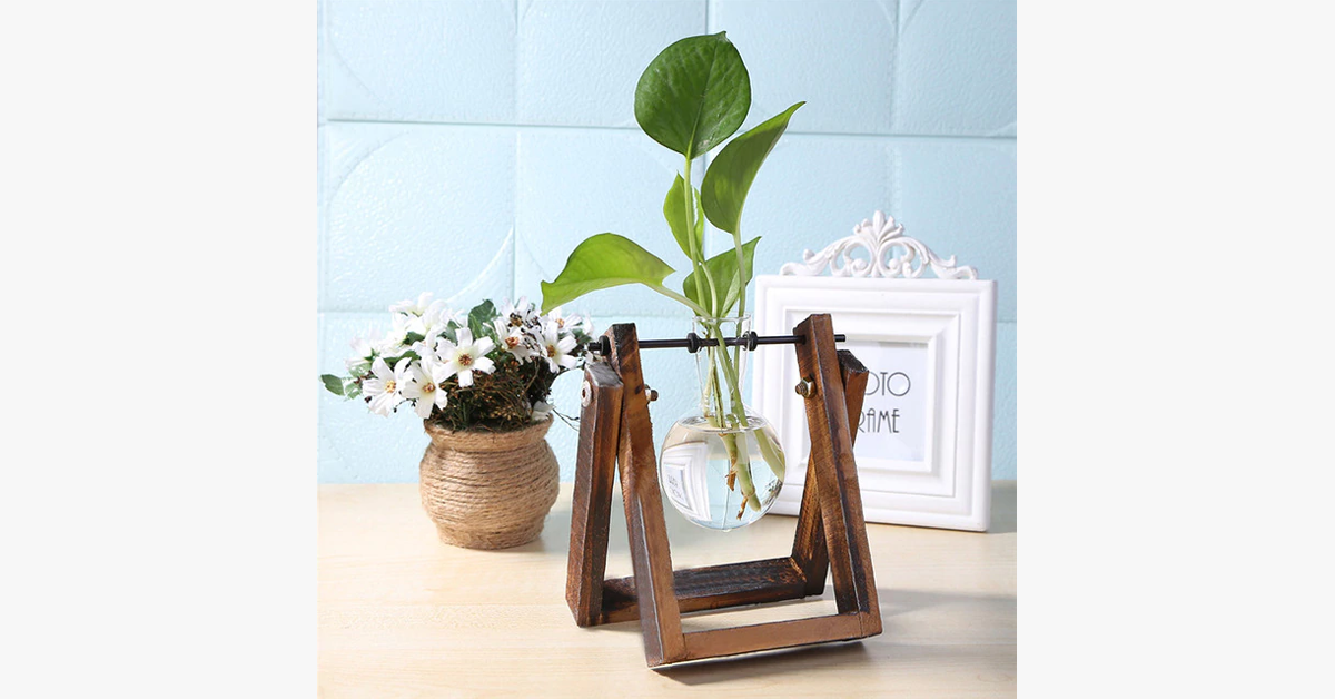 Glass Hydroponics Table Planter Stand