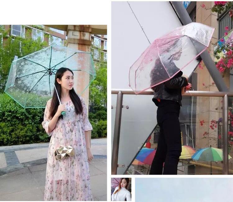 Transparent Full Automatic Umbrella Sun Rain Parasol