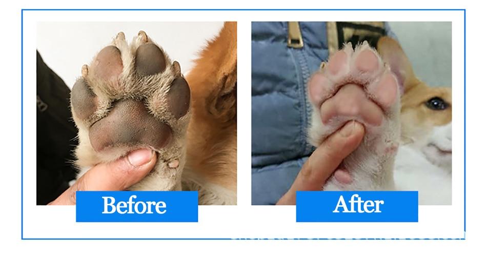 Dirty Paw Easy Cleaner