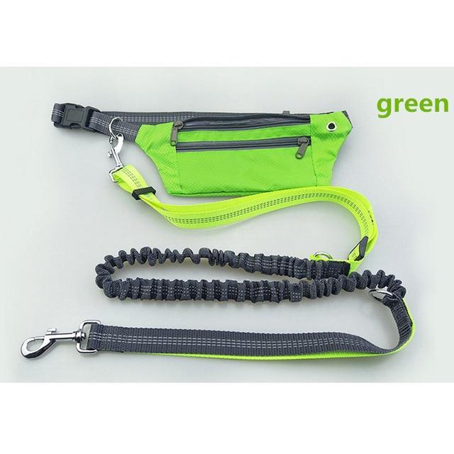 Hands Free Waist Dog Collar With Bag